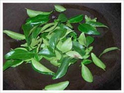 Curry Leaf