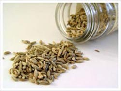 Fennel Seeds