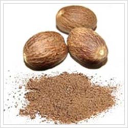 Nutmeg Seeds