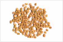 Fenugreek Seeds